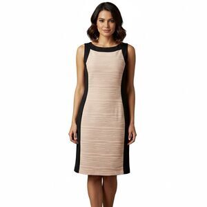 Dana Buchman  Knee Length Sheath Dress Size 12 Black & Blush Pink